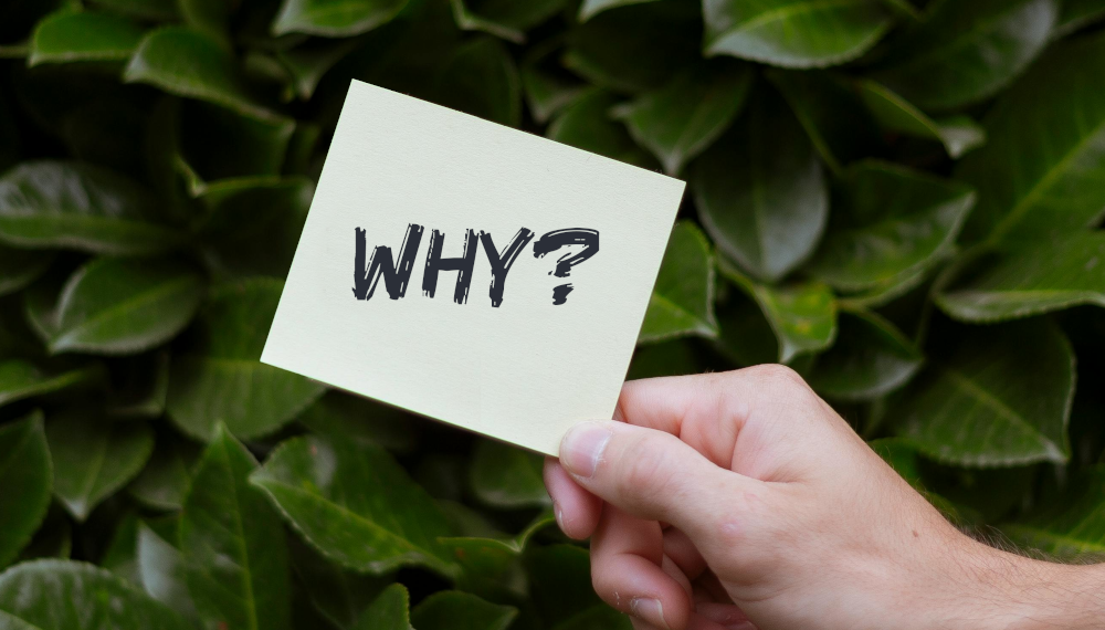 Person holding post it card in front of leaves with the word why?